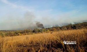 Найбільші крейдяні бори в Європі знищуються у ці дні: у заповіднику «Крейдова флора» вирує пожежа (фото)