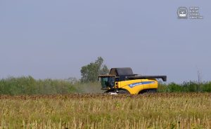 229 аграріїв Донеччини отримають державну допомогу на загальну суму 176 мільйонів гривень