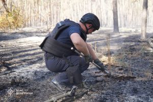 На Донеччині піротехніки ДСНС виявили та знищили 40 одиниць вибухонебезпечних предметів