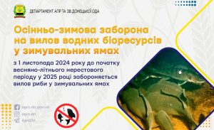 В Донецькій області забороняється вилов риби у зимувальних ямах