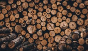 ДП «Лиманський лісгосп» пропонує дрова населенню. Телефони