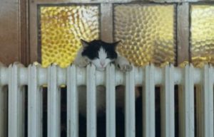 Опалювальний сезон у Слов’янській громаді має розпочатись 1 листопада