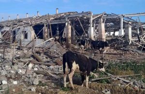 На Донеччині залишилося всього 13 харчових підприємств, понад 350 — зазнали збитків в інших галузях (деталі)