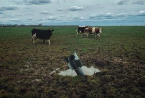 Небезпечно працювати, нема ринків збуту, не вистачає людей: з якими проблемами стикаються аграрії Донецької області
