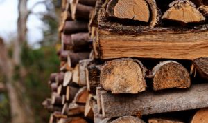 Понад 9 тисяч родин Донеччини отримають гроші на придбання твердого палива