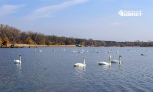 Професор педагогічного університету присвятив вірш солоним озерам Слов’янська