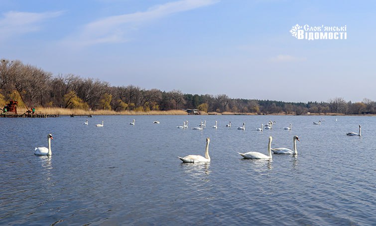 Професор педагогічного університету присвятив вірш солоним озерам Слов’янська