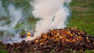 У Слов’янську знову палять листя замість того, щоб позбутися іншим шляхом