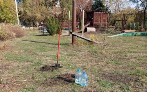 Сквер « Мрія» продовжує отримувати подарунки від місцевих жителів (фотофакт)