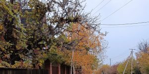 Осінній Слов’янську очима мешканців (фото)