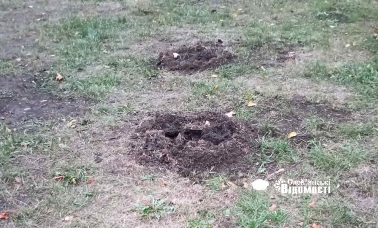 У сквері «Мрія» вкрали щойно посаджені дерева