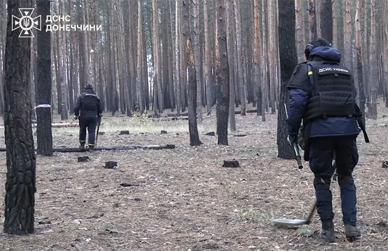 Ліси під Дробишево очищають від мін: піротехніки працюють над безпекою