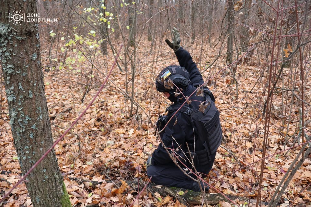 У Національного природного парку “Святі гори” піротехніки виявили ручну гранату