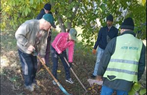 У Слов’янській громаді тривають суспільно корисні роботи: як долучитись та отримати своєчасну заробітну плату