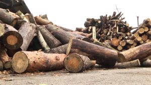 Скільки жителів отримали гроші на закупівлю дров для опалення осель на Донеччині