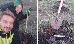 На заміну вкраденим яблунькам у сквері «Мрія» висадили нові рослини