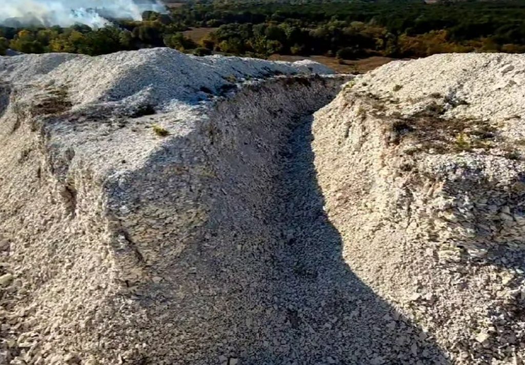 Як виглядає «Крейдова флора» і чому фахівці кажуть про екоцид заповідника