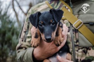Національний природній парк «Святі Гори» провів масштабний екоконкурс малюнків: окрім дітей з Донеччини, долучився і закордон