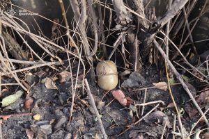 Обстеження територій продовжується: небезпечні знахідки в Краматорському районі