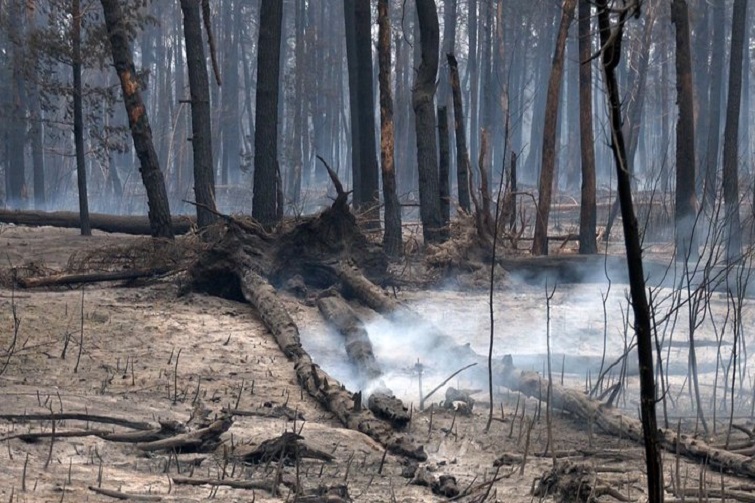 Експерт не виключає, що парк “Святі гори” повністю не розмінують ніколи