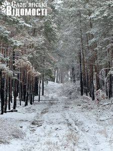 Фото засніженого села Щурове кажуть про тишу та спокій, реальність доводить зворотне (фото)