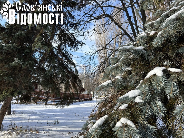 photo 2024 12 13 12 26 17