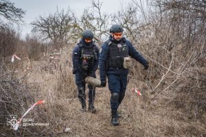 У селищі Дробишеве Лиманської громади виявили артилерійський снаряд