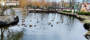 Як виглядає парк Шовковичний у теплі зимові дні (фоторепортаж)