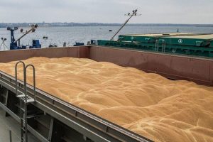 Російські окупанти на Донеччині запланували збільшити об’єми вивезення українського зерна з області