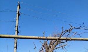 Відновлення газопостачання після обстрілу в Лимані