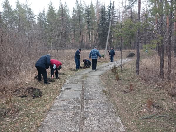 Біля офісу Національного Природного Парку «Святі Гори» висадили 37 туй для зеленої алеї