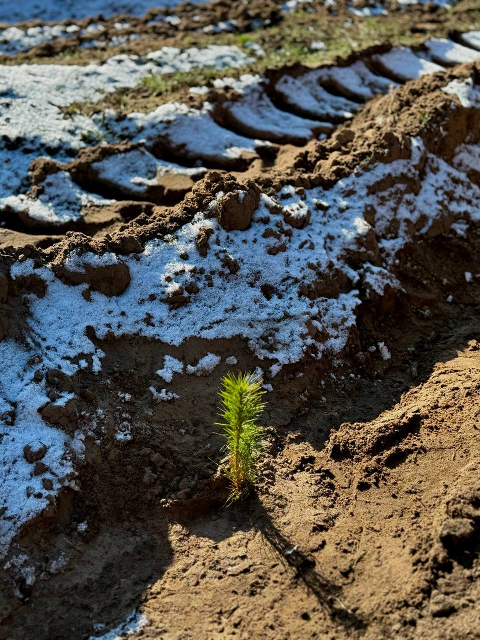 484808404 1105117331659676 6619033700941699724 n