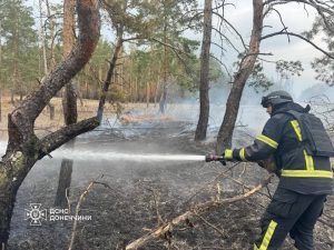 Початок пожежонебезпечного періоду на Донеччині: екосистемі загрожують не лише обстріли, а й пожежі