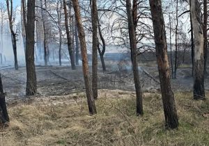 Оперативна ситуація по області станом на ранок 29 березня