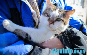 Слов’янців запрошують взяти участь в акції та підтримати безхатніх тварин у місцевому притулку