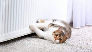 Стало відомо, коли закінчується опалювальний сезон у Слов’янську