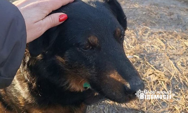 photo 2025 03 27 23 55 13