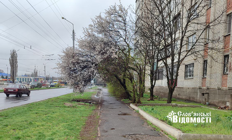 photo 5429215906757733471 y