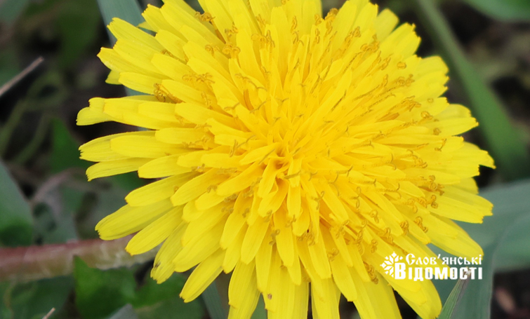 00a570d3 1687 4f53 a180 db199312f5da