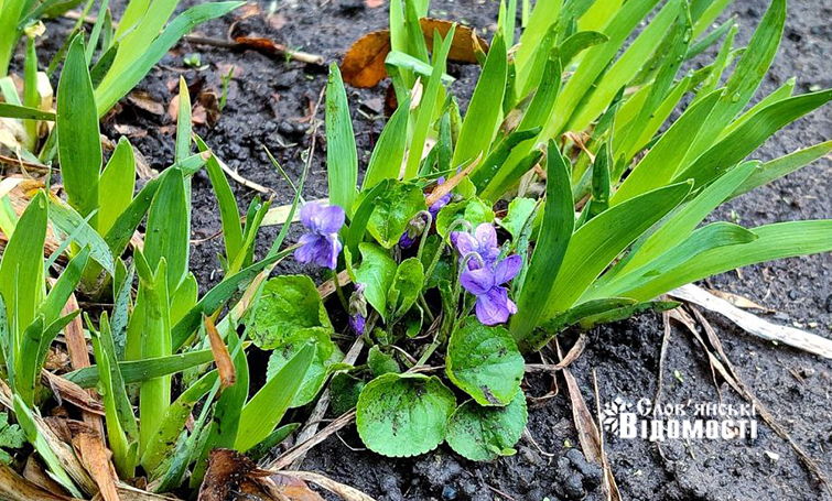 098faf23 0426 4561 8cea 0cc79a1e28a6