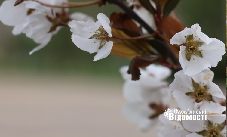 0ab9bc9a fcac 4101 a0b3 09c2d22d4acd