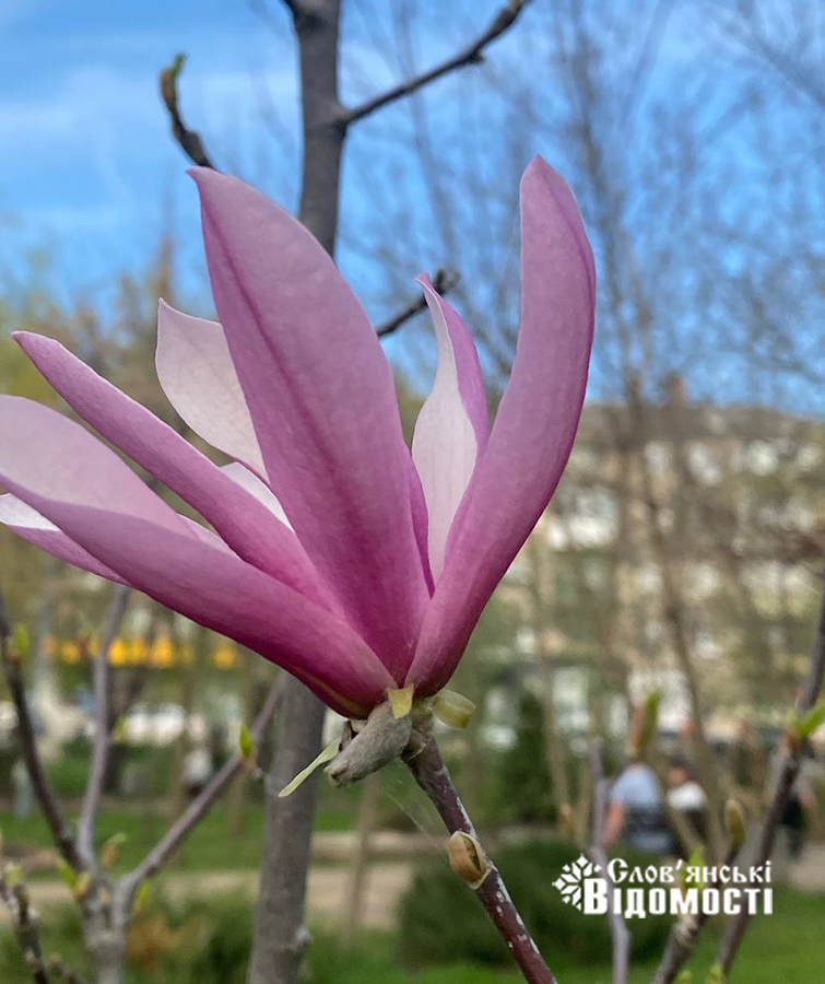 12ef8c81 5058 45d5 af80 ac02b322ea82