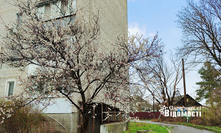 145a6bf1 793b 4f23 beb2 b577704cb5c5