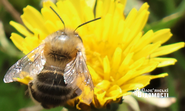 1b0b343a 47d8 4724 a554 21671f50fbb4