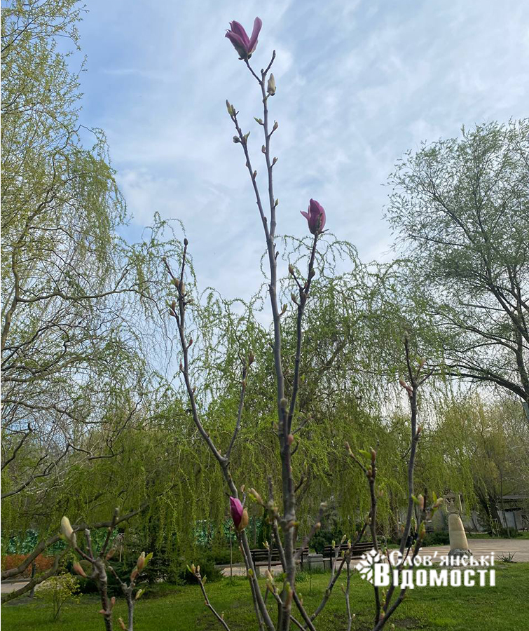 27cab23d 4e7d 4cee 9ee5 129cc7dec03f