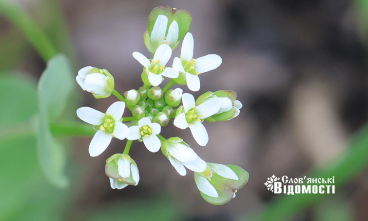 2be29305 3d9f 4891 898e 2eee3fc753ab