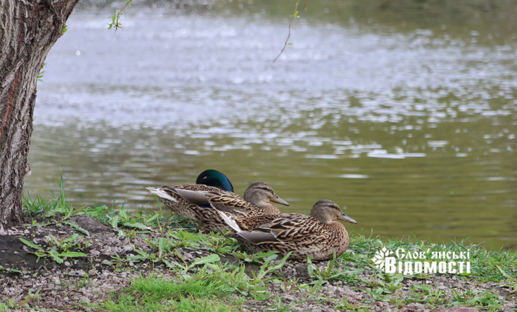 2d10a8d0 f07f 4b79 9440 7864cf303cd3