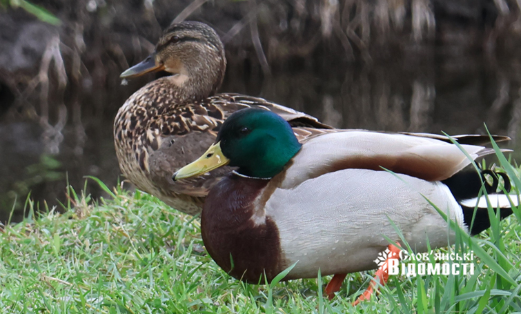 360b623a 36cf 4f03 a768 5e3817d9cd8e