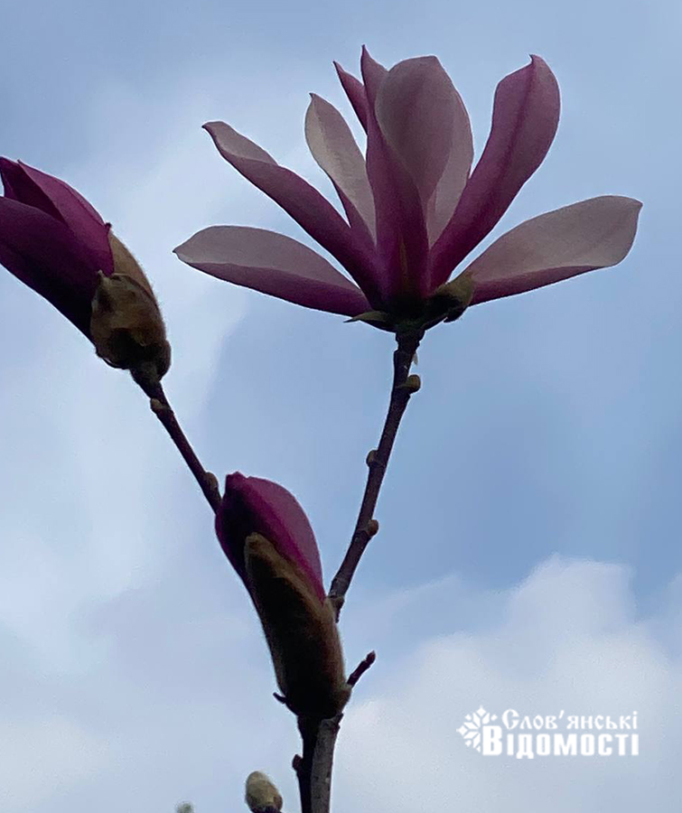 3a1d11e4 731b 4de5 9831 0b80de0c8862