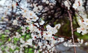 Весна в Слов’янську: фото міста, та прогноз погоди на тиждень